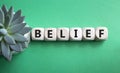 Belief symbol. Concept word Belief on wooden cubes. Beautiful green background with succulent plant. Business and Belief concept.