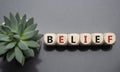Belief symbol. Concept word Belief on wooden cubes. Beautiful grey background with succulent plant. Business and Belief concept.