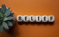 Belief symbol. Concept word Belief on wooden cubes. Beautiful orange background with succulent plant. Business and Belief concept Royalty Free Stock Photo