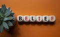 Belief symbol. Concept word Belief on wooden cubes. Beautiful orange background with succulent plant. Business and Belief concept