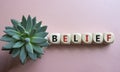 Belief symbol. Concept word Belief on wooden cubes. Beautiful pink background with succulent plant. Business and Belief concept.