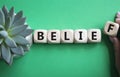 Belief symbol. Concept word Belief on wooden cubes. Businessman hand. Beautiful green background with succulent plant. Business