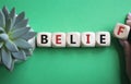 Belief symbol. Concept word Belief on wooden cubes. Businessman hand. Beautiful green background with succulent plant. Business