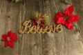 BELIEVE... in love, life, Faith,energy, Christmas beliefs