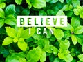 Believe i can concept. Royalty Free Stock Photo