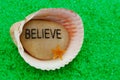 Believe Stone in Seashell
