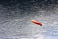 BELIS-FANTANELE, ROMANIA, AUGUST 12, 2023: Man trying to climb into the overturned kayak on Belis-Fantanele dam lake.