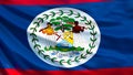 Belize flag. Waving flag of Belize 3d illustration