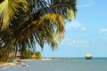 Belize, peninsula Placencia Royalty Free Stock Photo