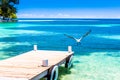 Belize, a tropical paradise in Central America. Royalty Free Stock Photo