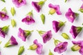 Bell flowers seamless white background, Top-down view