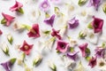 Bell flowers seamless white background, Top-down view