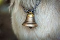 Bell-neck of a goat Royalty Free Stock Photo