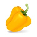 Bell pepper