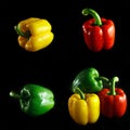 Bell Pepper