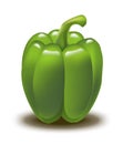 Bell Pepper