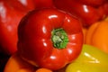 The bell pepper also known as sweet pepper Royalty Free Stock Photo