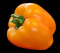 The bell pepper also known as sweet pepper or pepper and capsicum Royalty Free Stock Photo