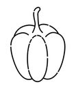 Bell pepper black line illustration