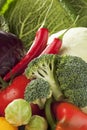 Bell pepper chilis tomato broccoli white cabbage red cabbage brussel sprouts close up Royalty Free Stock Photo