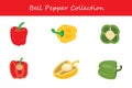 bell pepper collection in different style. Vector illustration. Royalty Free Stock Photo