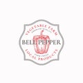 Bell Pepper Frame Badge or Logo Template. Hand Drawn Red Vegetable Sketch with Retro Typography and Borders. Vintage Royalty Free Stock Photo