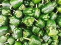 Group of Green Capsicum in a market