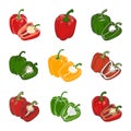 Bell Pepper Icons Set Silhouette, Capsicum SVG Vector Illustration Royalty Free Stock Photo