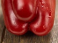 Bell pepper macro