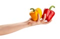 bell pepper mix in hand Royalty Free Stock Photo