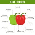 Bell pepper nutrient of facts and health benefits, info graphic