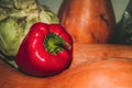 Bell pepper, pumpkin, cabbage - vegetables