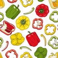 Bell pepper seamless pattern. Hand drawn red, green, yellow peppers vector illustration isolated on white background. Whole Royalty Free Stock Photo