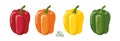 Bell pepper set. Different colors and varieties pepper. Fresh farm vegetables. Ingredients for cooking. Flat design