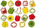 Bell pepper set. Hand drawn red, green, yellow peppers vector illustration isolated on white background. Whole capsicum, halved Royalty Free Stock Photo