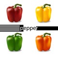 Bell pepper set in red, yellow, green, and orange. Realistic 3d