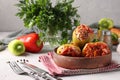 Bell Pepper Stuffed with rice and minced in tomato sauce in a plate on light gray background Royalty Free Stock Photo