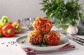 Bell Pepper Stuffed with rice and minced beef in tomato sauce in a plate on light gray background Royalty Free Stock Photo