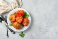 Bell pepper stuffed with turkey, rice and vegetables in a white plate on a gray background. Royalty Free Stock Photo