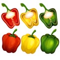 Bell pepper icon set vector illustration vibrant color Royalty Free Stock Photo