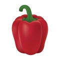 bell pepper. Vector illustration decorative design