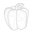 Bell pepper.Vegetable.Coloring book antistress for children and adults Royalty Free Stock Photo