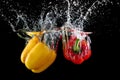 Bell pepper in water with splash Royalty Free Stock Photo