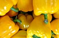 Bell Pepper, Yellow Color, mild spiciness