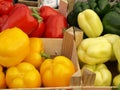Bell peppers Royalty Free Stock Photo