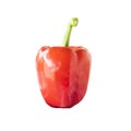 bell peppers or big chilli Royalty Free Stock Photo