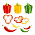 Bell peppers and Chilli. Vector Illustrations.