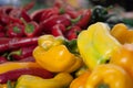 Bell Peppers in multiple colors Royalty Free Stock Photo