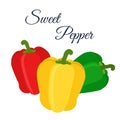 Bell peppers - red, green, yellow. Made in cartoon flat style