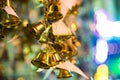 Bell Small at bokeh night Royalty Free Stock Photo